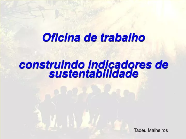 oficina de trabalho construindo indicadores de sustentabilidade