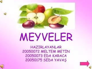 meyveler