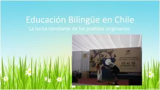 educaci n biling e en chile