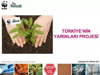 t rk ye n n yarinlari projes
