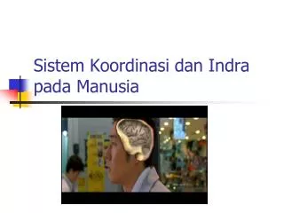 PPT - RANGKA DAN PANCA INDRA MANUSIA PowerPoint Presentation, Free ...