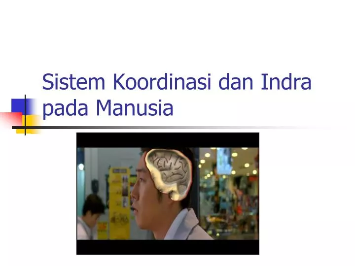 sistem koordinasi dan indra pada manusia