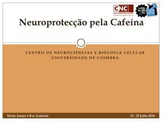 neuroprotec o pela cafe na