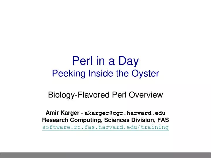 perl in a day peeking inside the oyster