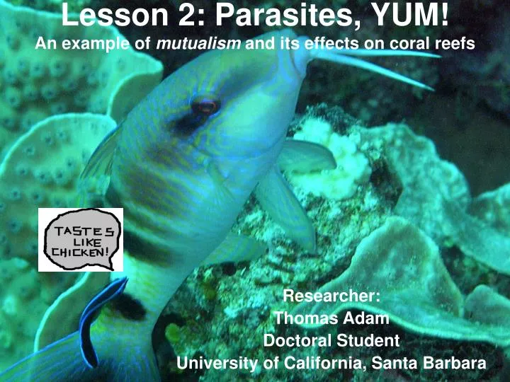 lesson 2 parasites yum an example of mutualism and its effects on coral reefs
