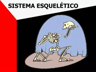 sistema esquel tico
