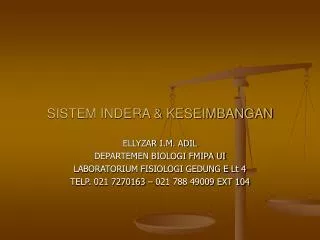 sistem indera keseimbangan