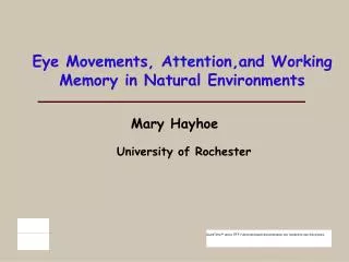 Eye Movements, Attention,and Working Memory in Natural Environments