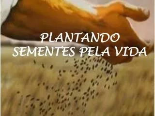 plantando sementes pela vida