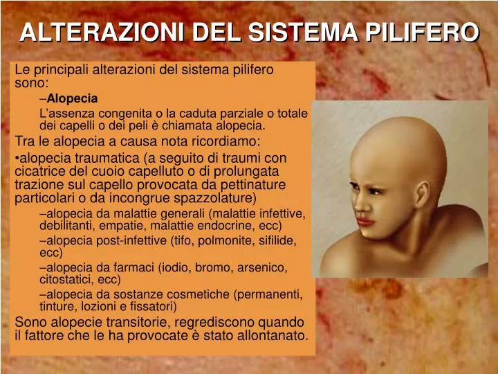 alterazioni del sistema pilifero