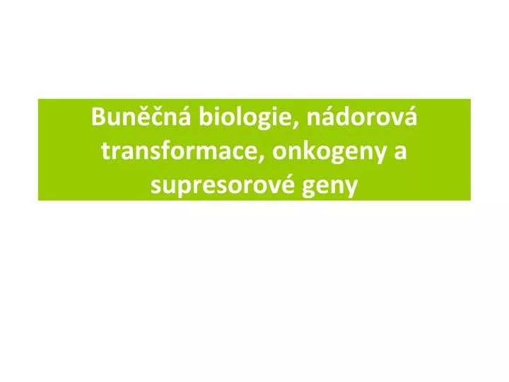 bun n biologie n dorov transformace onkogeny a supresorov geny