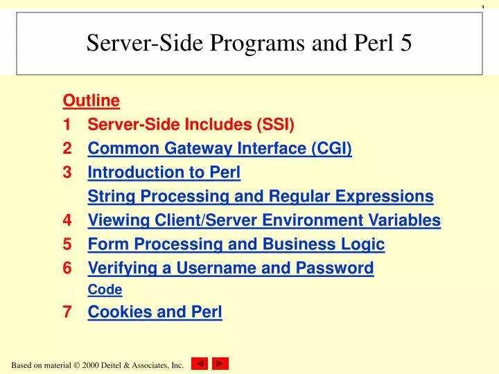 server side programs and perl 5