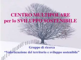 centro multipolare per lo sviluppo sostenibile