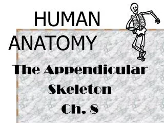 The Appendicular Skeleton Ch. 8