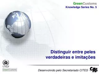 desenvolvido pelo secretariado cites