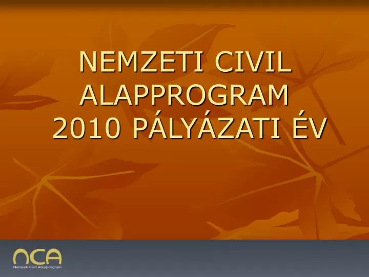 nemzeti civil alapprogram 2010 p ly zati v