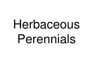 Herbaceous Perennials