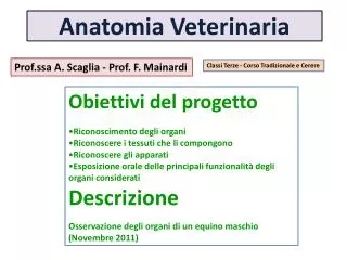 anatomia veterinaria