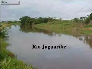 Rio Jaguaribe