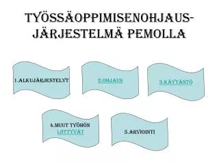 ty ss oppimisenohjaus j rjestelm pemolla