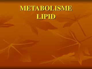 metabolisme lipid