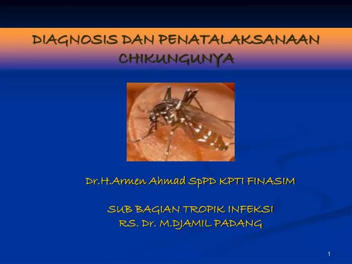 diagnosis dan penatalaksanaan chikungunya