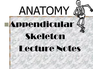 Appendicular Skeleton Lecture Notes