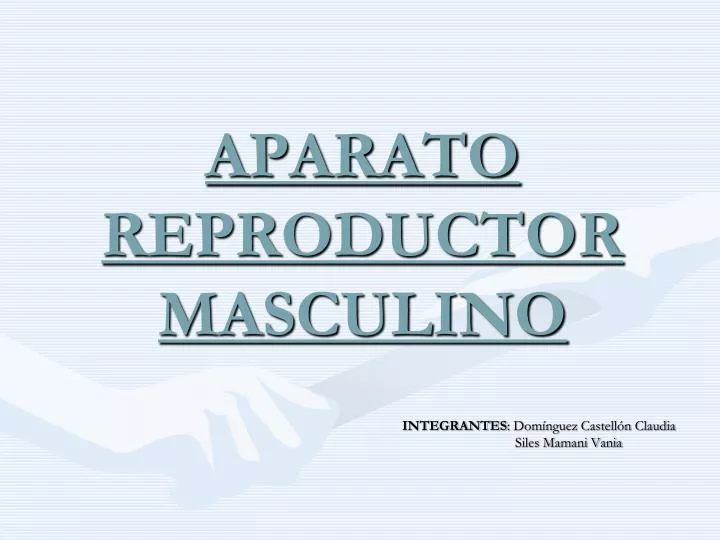 aparato reproductor masculino