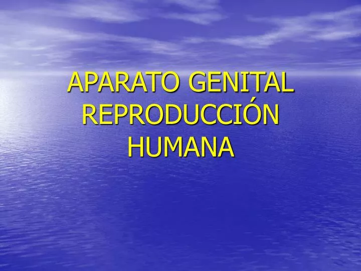 aparato genital reproducci n humana