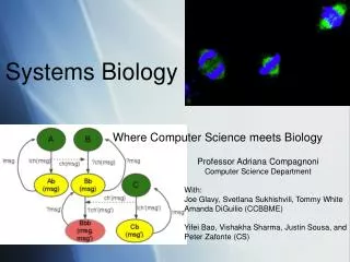 Where Computer Science meets Biology