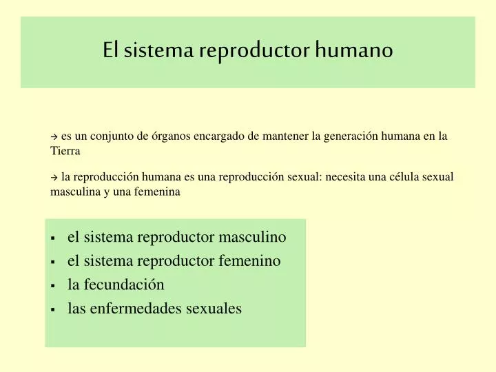 el sistema reproductor humano