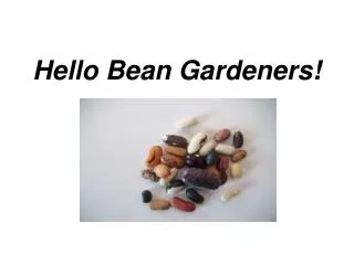 Hello Bean Gardeners!