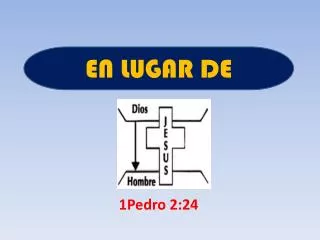 1pedro 2 24