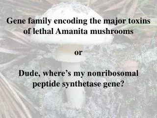 Genus Amanita