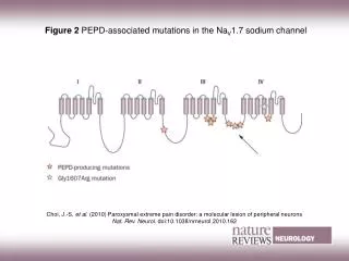 Figure 2 PEPD-associated mutations in the Na V 1.7 sodium channel