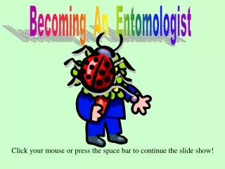 Becoming An Entomologist