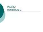 Exploring the Beauty of Gloxinia, Photinia, Peony, Croton, Parlor Palm, and Ginkgo - slide 1