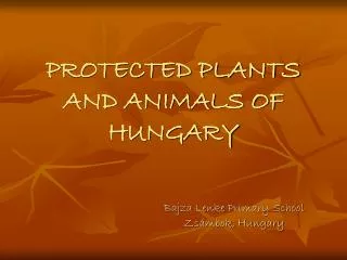 PROTECTED PLANTS AND ANIMALS OF HUNGARY