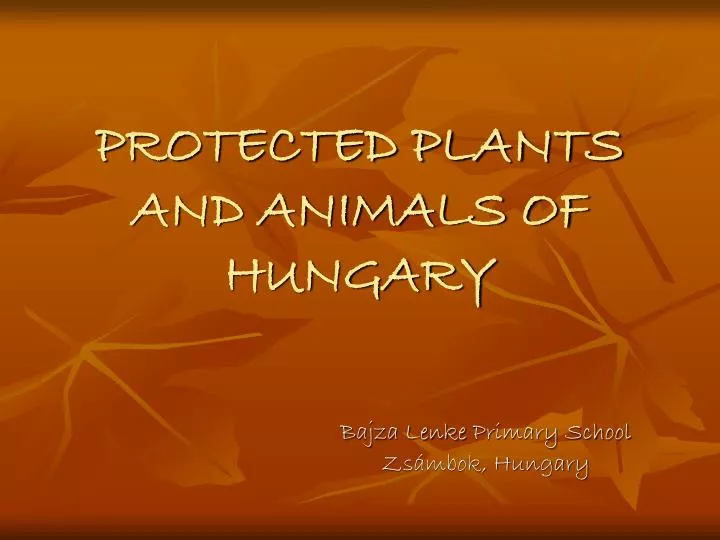 protected plants and animals of hungary