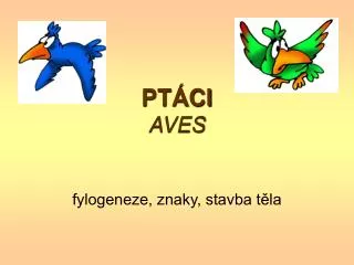 fylogeneze znaky stavba t la