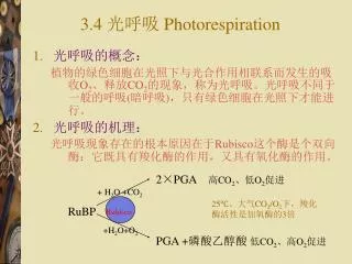 3 4 photorespiration
