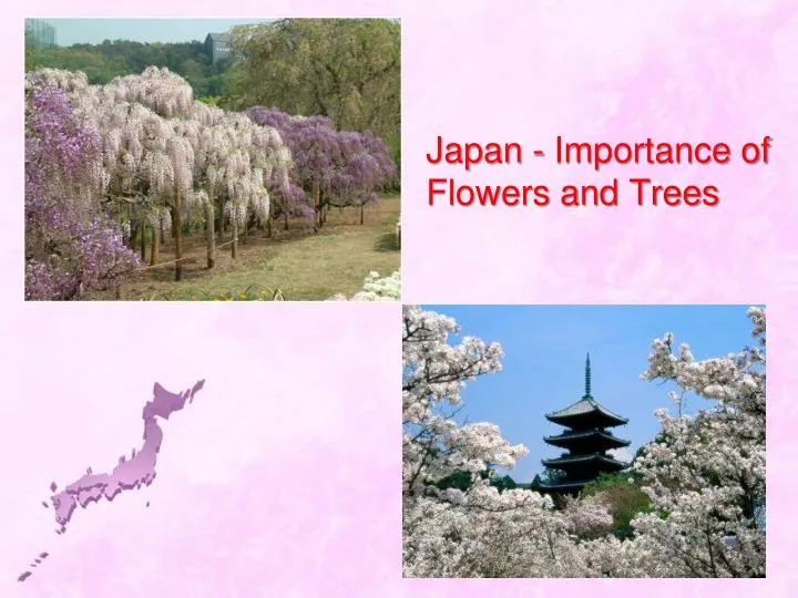 japan importance of flowers and trees