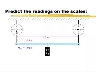 Predict the readings on the scales: