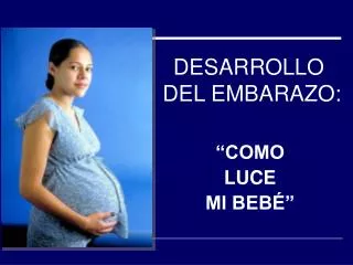 desarrollo del embarazo