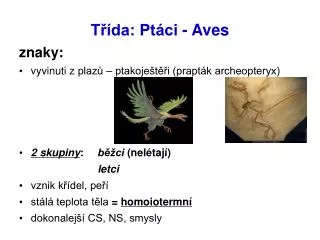 t da pt ci aves