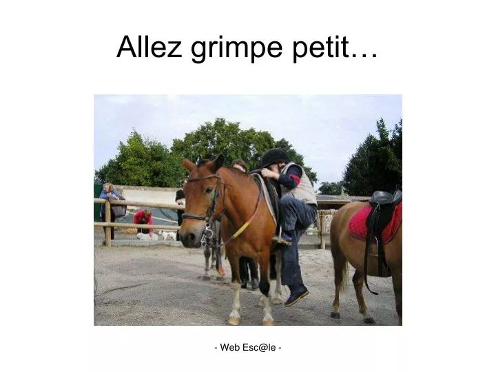 allez grimpe petit