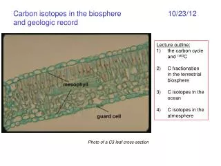 Carbon isotopes in the biosphere			10/23/12 and geologic record