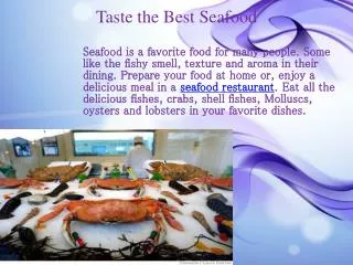 Taste the Best Seafood