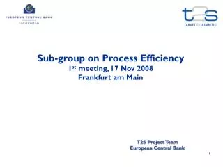 Sub-group on Process Efficiency 1 st meeting, 17 Nov 2008 Frankfurt am Main