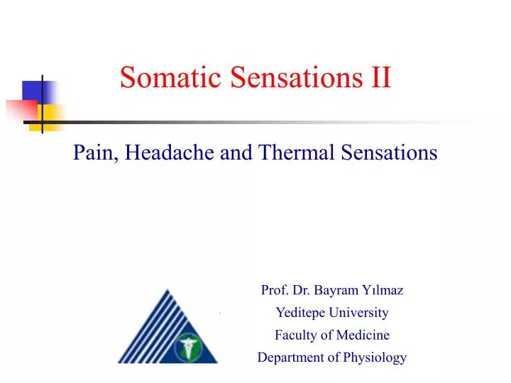 somatic sensations ii pain headache and thermal sensations